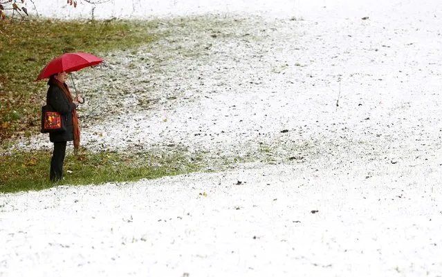 A woman stands at a snow covered meadow in the southern Bavarian village of Bad Toelz November 6, 2014. (Photo by Michaela Rehle/Reuters)