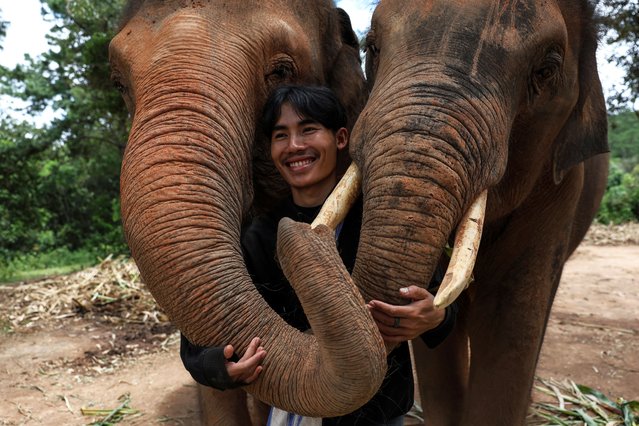 A Karen elephant keeper poses with elephants at the Elephant Freedom Village in Chiang Mai, Thailand on July 21, 2025. Karen elephant keepers work to preserve traditional hill tribe methods of human coexistence with animals. (Photo by Valeria Mongelli/Anadolu via Getty Images)