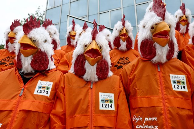 Activists of the French animal rights association L214, wearing chicken masks to symbolise their cause, take part in a protest against “Marie”, France's leading ready-made meal brand, and its owner group, LDC, in front of the city hall of Rungis, south of Paris, on May 13, 2024. The activists are highlighting the alleged poor conditions the poultry are kept in. (Photo by Emmanuel Dunand/AFP Photo)