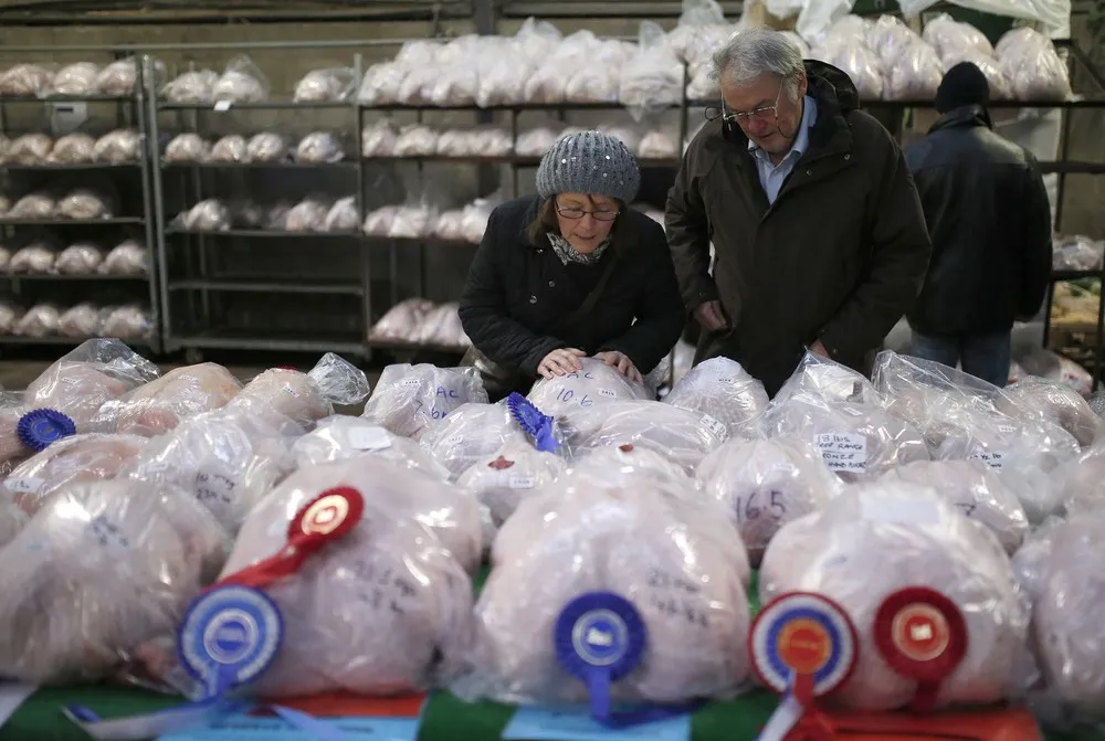 Turkey and Dressed Poultry Auction in England