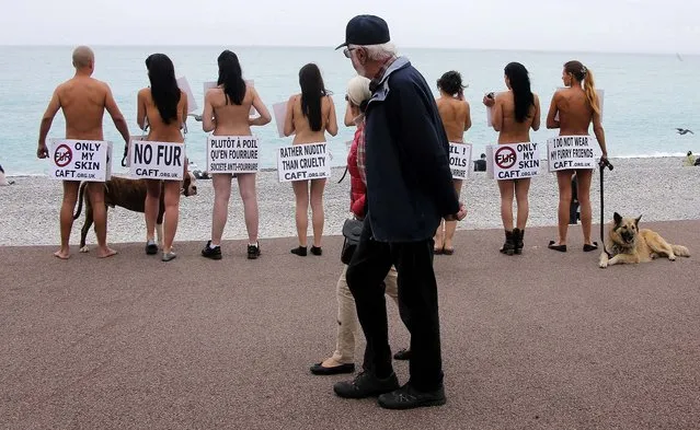 Tourists pass by members of the French branch of the international anti-fur group «CAFT» (The Coalition to Abolish the Fur Trade) as they demonstrate to denounce the breeding and use of animal for fur production, on the Promenade des Anglais in Nice, on April 27, 2013. (Photo by Lionel Cironneau/Associated Press)