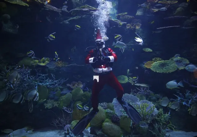 A diver wearing a Santa Claus outfit swimming inside a fish-tank performs a wai, the traditional Thai greeting, during an event part of the upcoming Christmas holidays at Sea Life aquarium in Bangkok, Thailand, 21 December 2020. As the festive season nears, shops and shopping malls utilize Christmas related displays hoping to attract more customers and boost sales for revive businesses hurt by the coronavirus disease (COVID-19) pandemic. (Photo by Narong Sangnak/EPA/EFE)