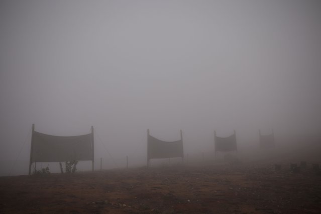 A set of fog catchers, meshes suspended between two poles that intercept small bits of moisture to collect water from the air in the Atacama Desert, stand in Paposo, Chile on June 13, 2025. (Photo by Pablo Sanhueza/Reuters)