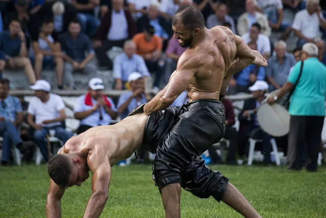 In this Saturday, June 30, 2018 photo wrestlers covered in olive oil fight during an annual traditional oil wrestling competition in the northern Greek village of Sochos. Massive men walk around the lawn turned into a wrestling ring to the tune of traditional music, their torsos slathered in olive oil, for an annual festival that blends the traditions of ancient Greece and more modern times. (Photo by Giannis Papanikos/AP Photo)