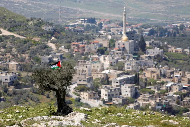 A Palestinian flag hangs on a tree during a protest against Jewish settlements in An-Naqura village near Nablus, in the Israeli-occupied West Bank on March 29, 2021. (Photo by Raneen Sawafta/Reuters)