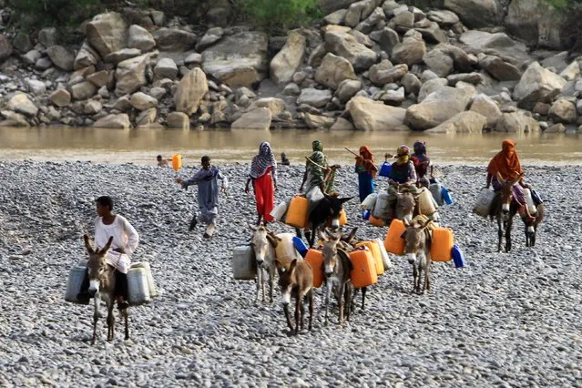 A convoy of youths from surrounding villages fill jerrycans with water from a waterway near the Setit Dam in eastern Sudan before transporting them on donkeyback, on September 2, 2023. (Photo by AFP Photo/Stringer)