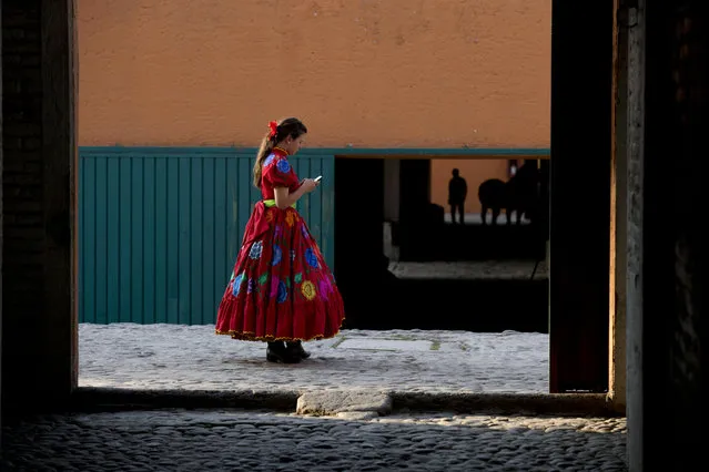 In this February 26, 2015 photo, a female charra, known as an Amazona and member of an escaramuza, pauses to check her phone near stable buildings at the National Charros Association during a charreada in Mexico City. Escaramuza teams, which gave skill demonstrations at the charreada, hold their own regular competitions in which they are scored for the ability to bring their horses to a quick stop and for the execution of synchronized precision riding formations, including spins, crosses, and side-by-side cantering. (Photo by Rebecca Blackwell/AP Photo)