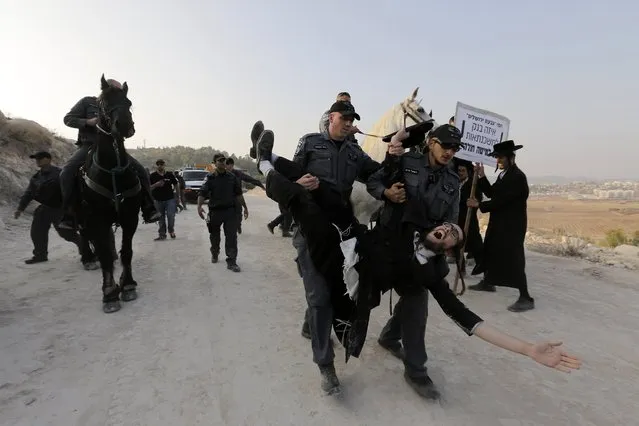 Israeli border policemen detain an ultra-Orthodox Jewish protester during clashes at a construction site in the town of Beit Shemesh, near Jerusalem November 14, 2013. Some 300 ultra-Orthodox protesters on Thursday demonstrated against digging in the site they believe contains ancient Jewish graves. An Israeli police spokesperson said 8 protesters were detained for questioning and were later released. (Photo by Ammar Awad/Reuters)