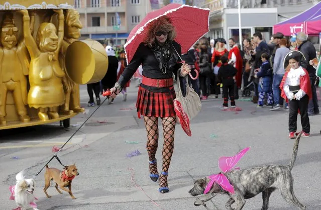 Carnival reveller march with his dogs during the carnival parade in Torres Vedras, Portugal, February 7, 2016. (Photo by Hugo Correia/Reuters)