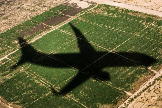 This picture taken on April 10, 2021 shows a shadow of an aircraft looming over an agricultural field prior to landing at Luxor International Airport, on the eastern outskirts of Egypt’s southern city of Luxor. (Photo by Khaled Desouki/AFP Photo)