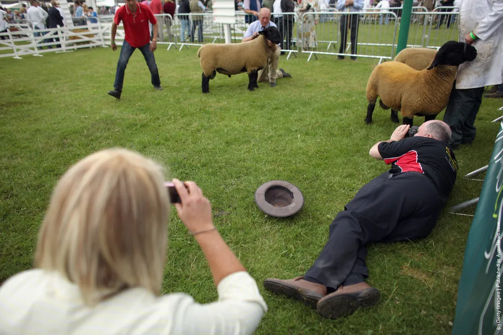Exhibitors At The Great Yorkshire Show