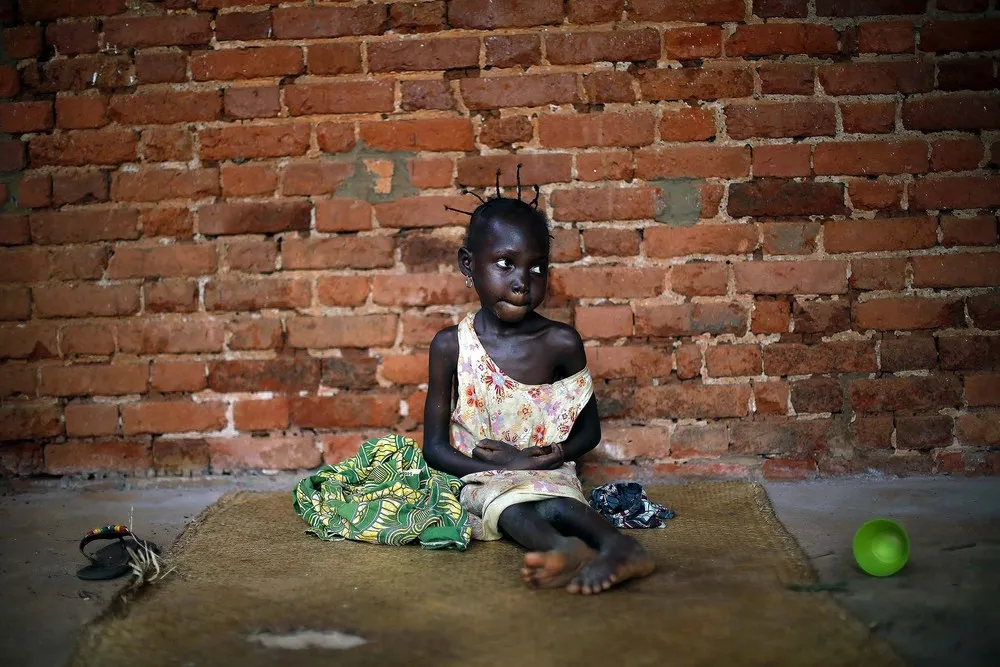 The Week in Pictures: January 26 – January 31, 2014. Part 1/2