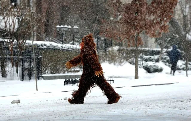 A man dressed in a gorilla costume crosses a snowy street March 3, 2014 in Washington, DC. (Photo by Win McNamee/AFP Photo)