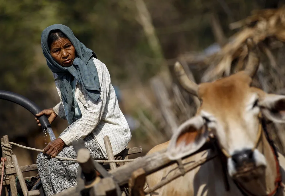Daily Life in Myanmar