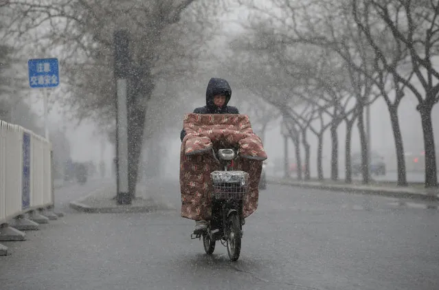 A woman rides an electric bicycle during a snowfall in Beijing, China February 21, 2017. (Photo by Jason Lee/Reuters)