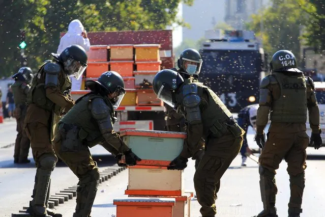 Riot police remove honeycombs during a protest after beekeepers who demanded government measures to tackle a persistent drought blocked the street in front of the presidential palace, in Santiago, Chile on January 3, 2022. (Photo by Dragomir Yankovic/Reuters)