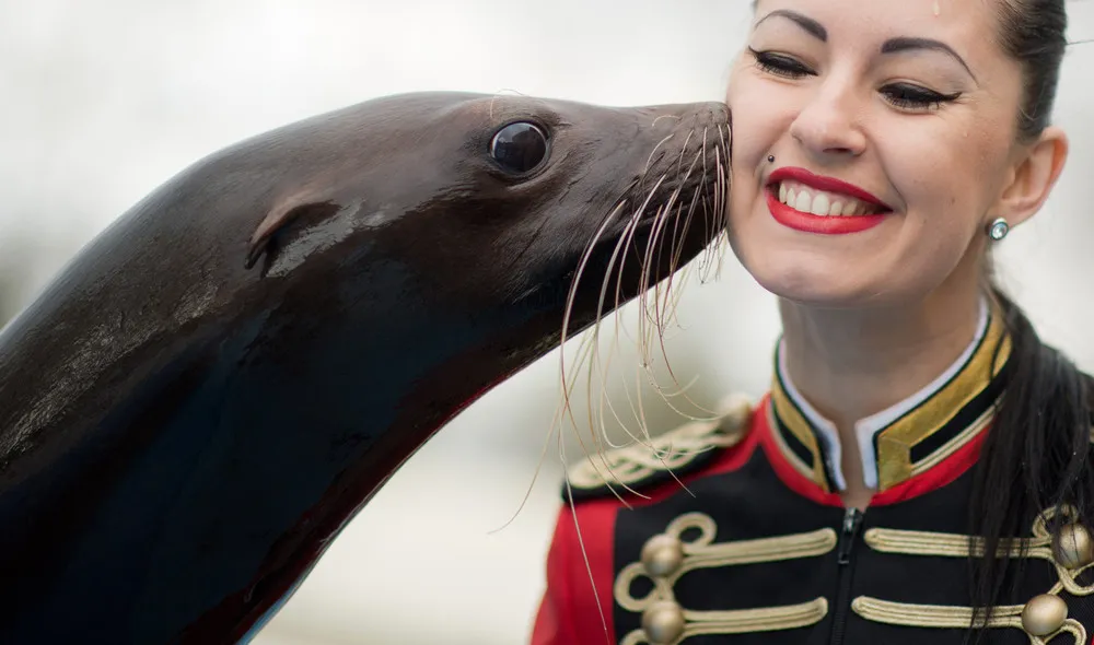 The Week in Pictures: Animals, March 22 – March 28, 2014