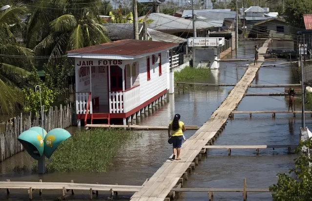 A woman walks on a makeshift walkway above a flooded street from the rising Rio Solimoes, one of the two main branches of the Amazon River, in Careiro da Varzea of Amazonas State, Brazil, June 30, 2015. (Photo by Bruno Kelly/Reuters)