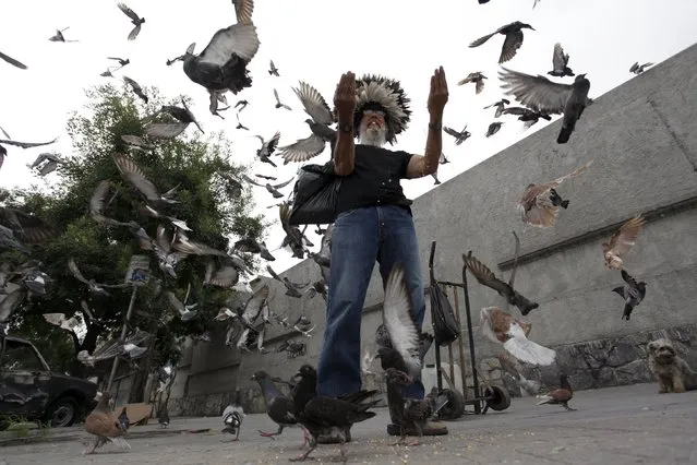 Jesus Moreno, 60, feeds pigeons in downtown Monterrey, Mexico July 7, 2015. (Photo by Daniel Becerril/Reuters)