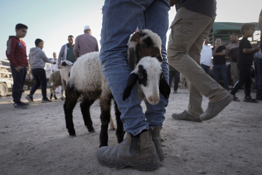 Palestinians Daily Life