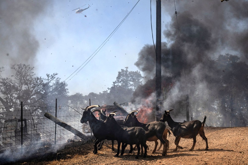 USA last Week, Part 3/3