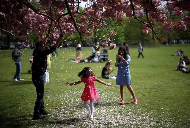 A child poses under petals falling from a cherry blossom tree in Greenwich Park in London, Britain, April 17, 2022. (Photo by Henry Nicholls/Reuters)