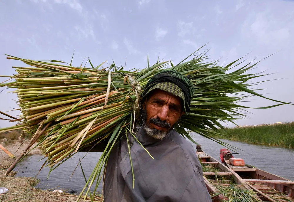 A Look at Life in Iraq