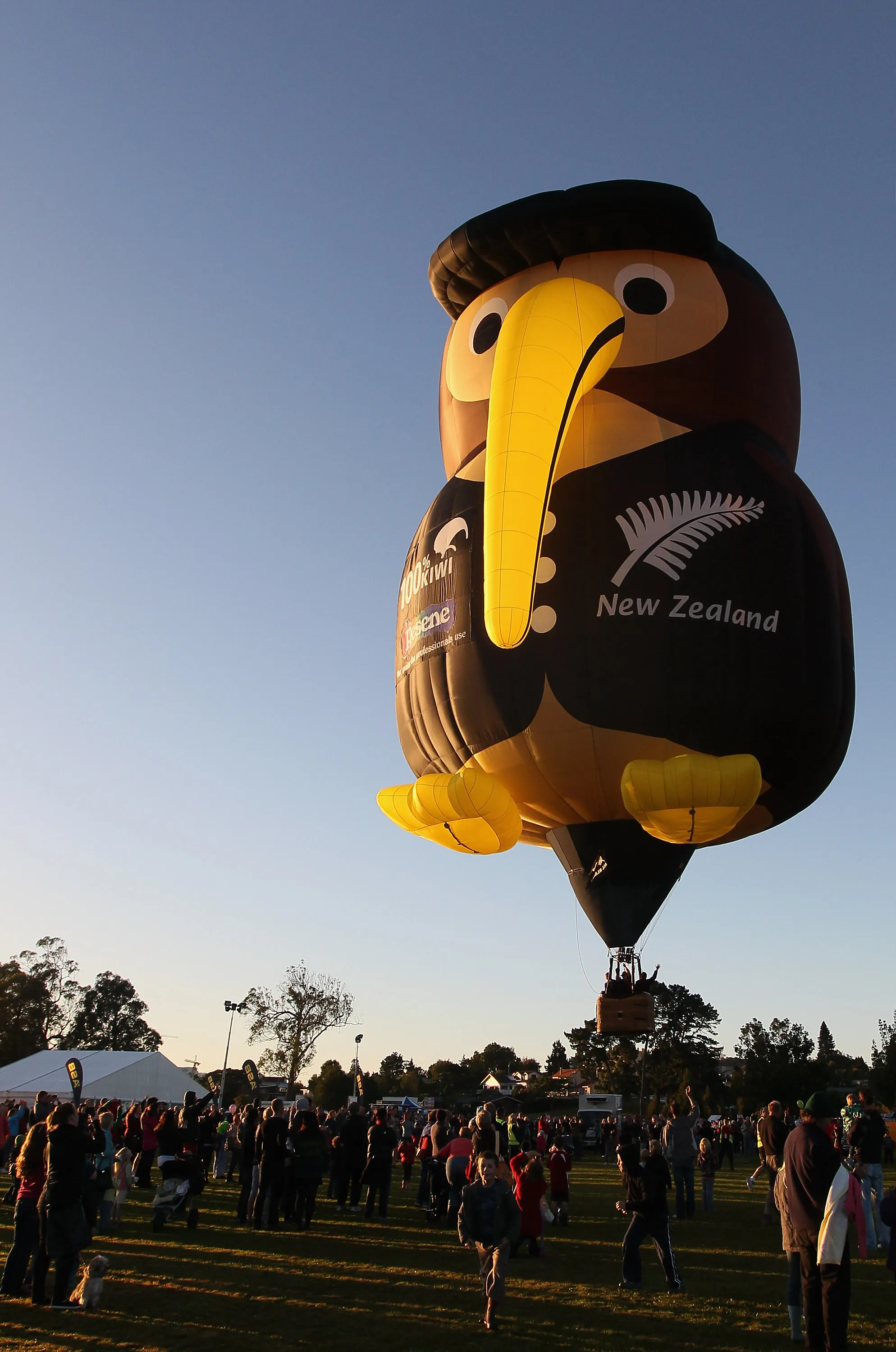 Balloons over Waikato Festival