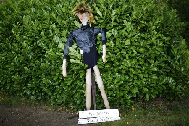 A scarecrow of singer Tina Turner leans against a bush during the Scarecrow Festival in Heather, Britain July 29, 2015. (Photo by Darren Staples/Reuters)