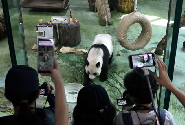 People take photos during Panda Yuanyuan's 20-years-old birthday party at the Taipei Zoo in Taipei, Taiwan, Friday, August 30, 2024. Yuanyuan was a gift from China to mark warming ties with Taiwan in 2008. (Photo by Chiang Ying-ying/AP Photo)