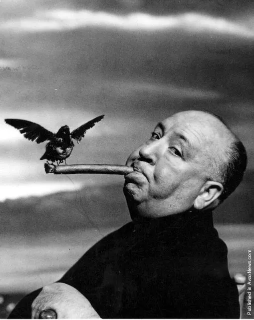 Alfred Hitchcock, 1962. Photo by Philippe Halsman