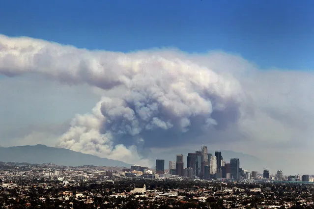 Smoke from wildfires burning in Angeles National Forest fills the sky behind the Los Angeles skyline on Monday, June 20, 2016. The wildfires several miles apart devoured hundreds of acres of brush on steep slopes above foothill suburbs erupted in Southern California as an intensifying heat wave stretching from the West Coast to New Mexico blistered the region with triple-digit temperatures. (Photo by Ringo H.W. Chiu/AP Photo)