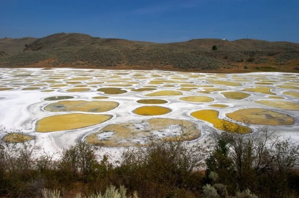 Kliluk, the Spotted Lake, Canada 