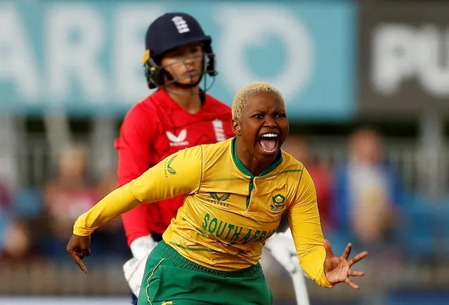 Nonkululeko Mlaba of South Africa celebrates after she gets Alice Capsey of England out during the 3rd Vitality IT20 match between England Women and South Africa Women at The Incora County Ground on July 25, 2022 in Derby, England. (Photo by Jason Cairnduff/Action Images via Reuters)