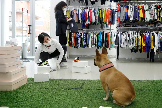 An employee of a children's clothes store interacts with a dog after the shop's reopening, during the outbreak of the coronavirus disease (COVID-19) in Rome, Italy on April 14, 2020. (Photo by Yara Nardi/Reuters)