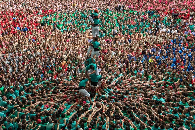 Members of the colla “Castellers de Vilafranca” fall down as they built a human tower during the 26th Tarragona Competition on October 2, 2016 in Tarragona, Spain. The “Castellers” who build the human towers with precise techniques compete in groups, know as “colles”, at local festivals with aim to build the highest and most complex human tower. The Catalan tradition is believed to have originated from human towers built at the end of the 18th century by dance groups and is part of the Catalan culture. (Photo by David Ramos/Getty Images)