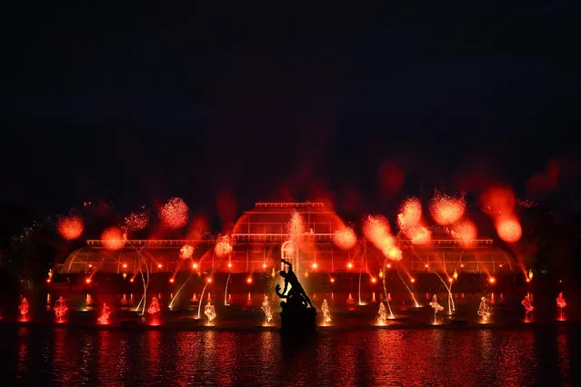 Lights illuminate the Palm House during a photocall to preview “Christmas at Kew” at Kew Gardens in southwest London on November 15, 2022. (Photo by Daniel Leal/AFP Photo)
