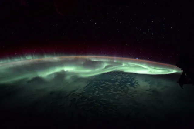 An aurora hovers above the Earth in this image captured aboard the ISS by Jack Fischer and released on July 11, 2017. “One of my favorite things to do in my free time is watch the Aurora – it’s almost alive, as it slathers up the sky in awesome sauce”, wrote Fischer on Twitter. Auroras occur when electrically charged particles from the sun collide with neutral atoms in the upper atmosphere. (Photo by Jack Fischer/NASA)