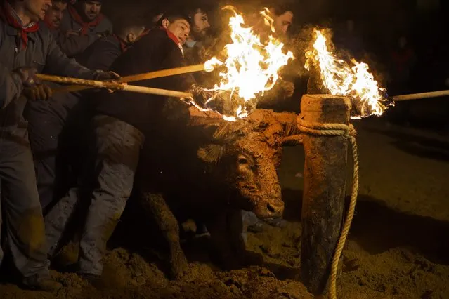 Revelers set a bull's horns on fire during the “Toro de Jubilo” Fire Bull Festival in Medinaceli, Spain, Sunday, November 16, 2014. The Fire bull Festival “Toro de Jubilo” that takes place in the main square of Medinaceli is an ancient tradition from the bronze age. (Photo by Andres Kudacki/AP Photo)