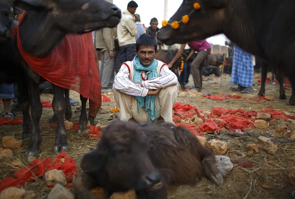 Gadhimai Festival in Nepal
