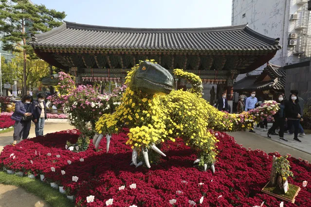 People wearing face masks to help curb the spread of the coronavirus pass by dinosaurs made of chrysanthemum flowers during the Chrysanthemum festival at the Chogyesa temple in Seoul, South Korea, Monday, October 19, 2020. South Korea on Monday began testing tens of thousands of employees of hospitals and nursing homes to prevent COVID-19 outbreaks at live-in facilities. (Photo by Ahn Young-joon/AP Photo)