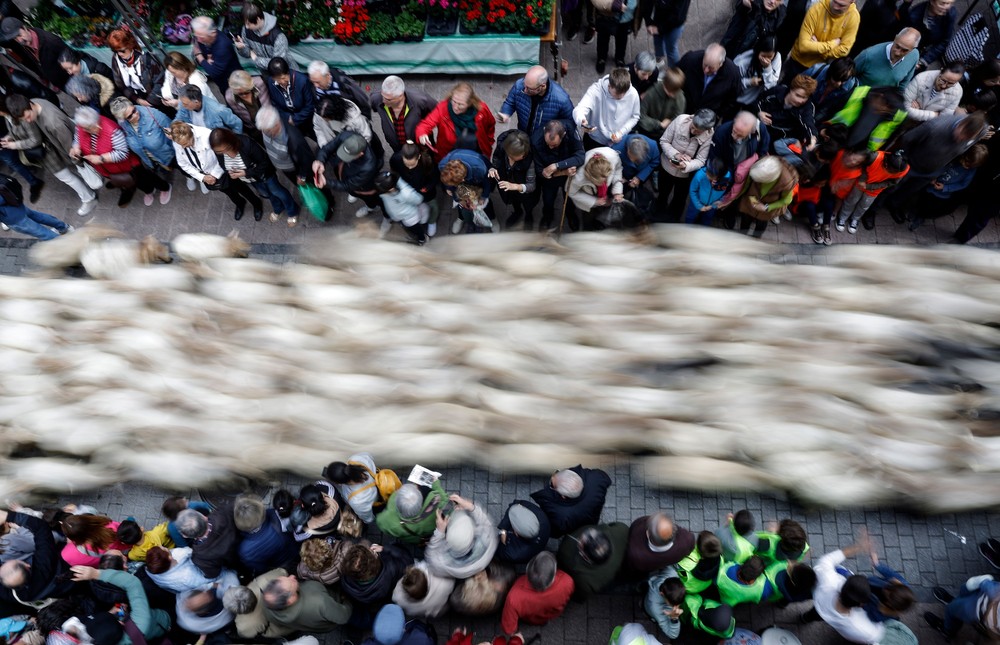 Pictures of the Year 2024, Part 084/240