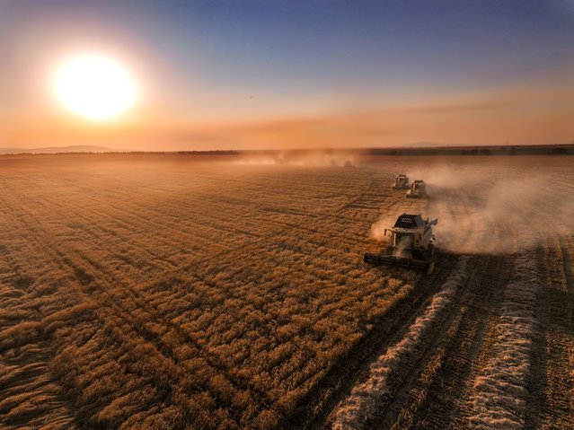 An aerial view show Harvest season ends in the circular wheat fields of Altinova and Gozlu Agricultural Enterprises, the second and third largest farms operated by the General Directorate of Agricultural Enterprises (TIGEM), affiliated with the Turkish Ministry of Agriculture and Forestry, in Konya's Kadinhani district, Turkiye on July 22, 2025. (Photo by Serhat Cetinkaya/Anadolu via Getty Images)