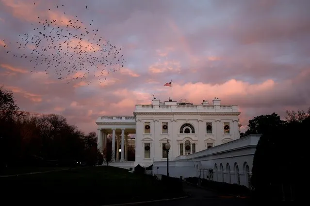 A rainbow appears over the White House as birds fly nearby following a storm in Washington, U.S., November 30, 2020. (Photo by Tom Brenner/Reuters)