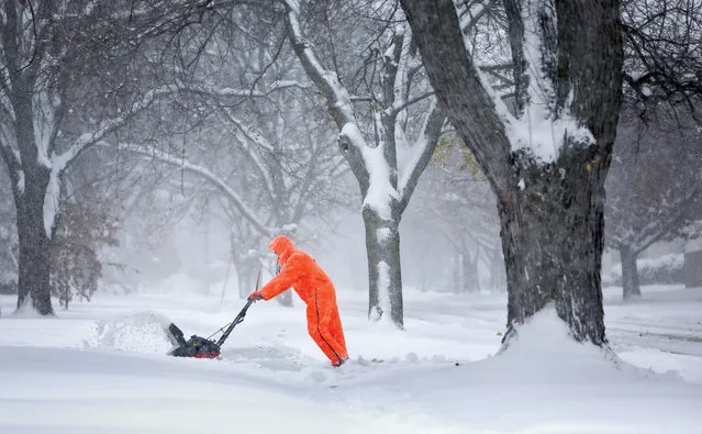 Gary Miller clears his neighbor's driveway after Friday's snowstorm in Janesville, Wis., on Saturday, November 21, 2015. The first significant snowstorm of the season blanketed some parts of the Midwest with Janesville receiving several inches of snow. (Photo by Anthony Wahl/The Janesville Gazette via AP Photo)
