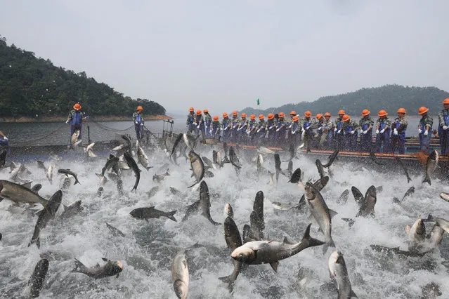 Fishermen fishing by a giant net at Thousand Island lake in Chunan, Zhejiang, China on April 26, 2018. (Photo by TPG/Zuma Press/Rex Features/Shutterstock)