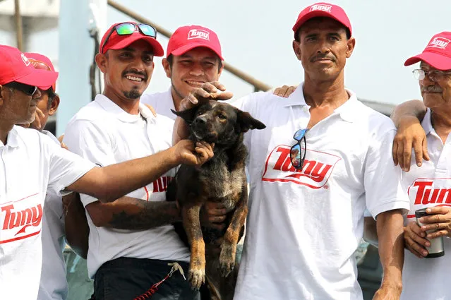 Members of the crew of the Mexican tuna vessel "Maria Delia" pose for a picture with “Bella”, Australian sailor Tim Shaddock's dog, after arriving at the port of Manzanillo, Colima State, on July 18, 2023. An Australian sailor and his dog were rescued after more than two months adrift in the Pacific Ocean, surviving the ordeal by drinking rainwater and snacking on raw fish. Shaddock and his dog Bella set off in a catamaran from Mexico's seaside city of La Paz in April, and planned to sail about 6,000 kilometres (3,700 miles) before dropping anchor in tropical French Polynesia. (Photo by Ulises Ruiz/AFP Photo)
