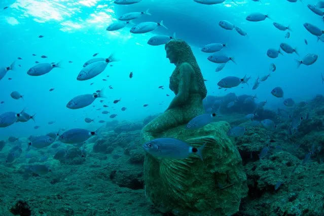 Fishes pass by an underwater statue at the Side Underwater Museum, Turkiye's first underwater museum, in Manavgat district of Antalya, Turkiye on June 19, 2023. Built by the Antalya Branch of the Chamber of Shipping, Side Underwater Museum contains a collection of 117 sculptures. Tourists dive in the museum, which is located at a depth of 11, 18 and 24 meters, about 1.5 miles off Side district, where 117 sculptures depicting the richness of Anatolian civilization are exhibited. Underwater Director of Photography Tahsin Ceylan and his crew viewed the museum opened in 2015. (Photo by Tahsin Ceylan/Anadolu Agency via Getty Images)