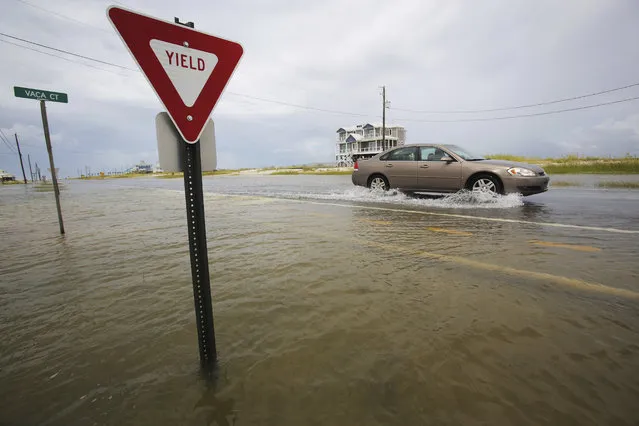 A car drives through a road as it slowly begins to flood as Tropical Storm Gordon approaches on Tuesday, September 4, 2018, in Dauphin Island, Ala. (Photo by Dan Anderson/AP Photo)