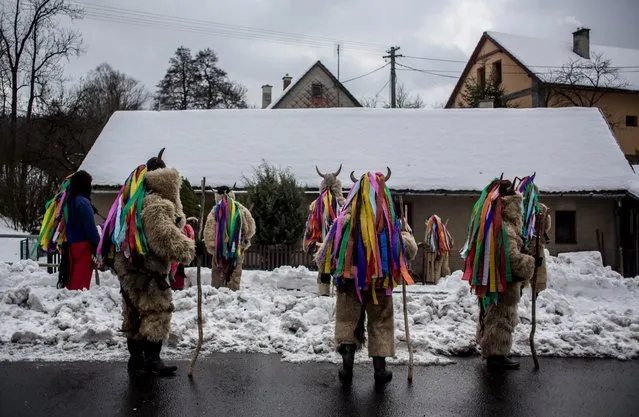 Participants dressed in traditional devil costumes walk from house to house during the traditional St. Nicholas parade on December 3, 2016 in village of Francova Lhota, Czech Republic. (Photo by Matej Divizna/Getty Images)